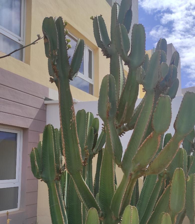 Ferienwohnung Apartamento Con Azotea Privada #Thefunnycactus Puerto del Rosario  Exterior foto